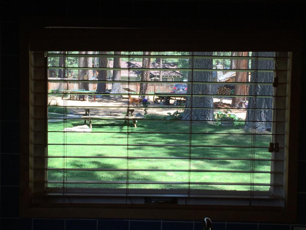 Holly'S Place South Lake Tahoe Room photo